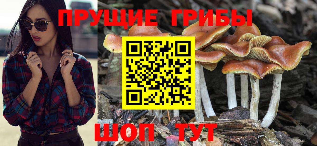 Псилоцибиновые грибы MAGIC MUSHROOMS Стерлитамак