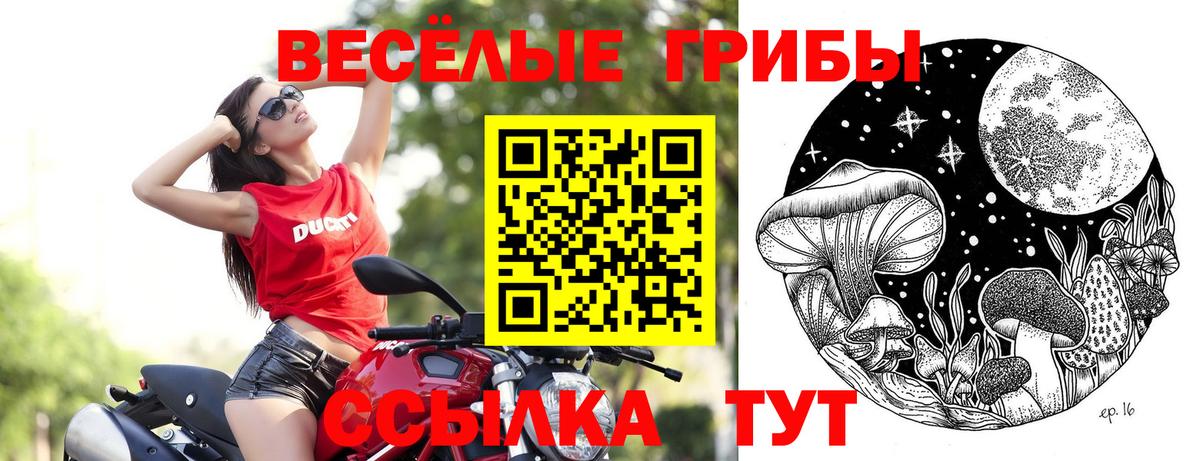 Стерлитамак  Галлюциногенные грибы мухоморы  Вход с VPN  Псилоцибиновые грибы мухоморы 